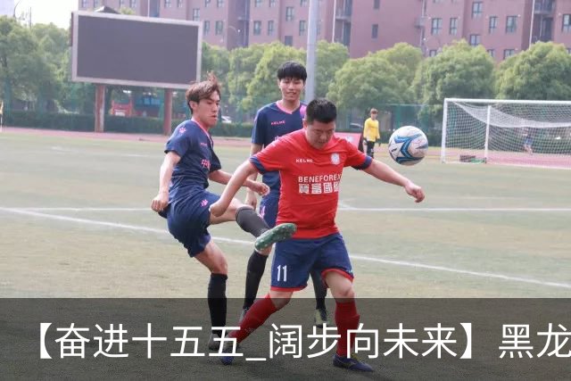 【奋进十五五 阔步向未来】黑龙江农机产业正加速迈向高端化智能化绿色化